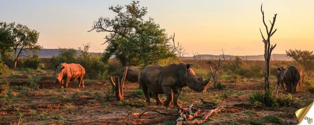 How big is the Kruger Park?