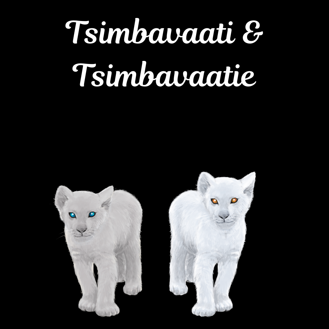 Tsimbavaati & Tsimbavaatie Ubuntopia